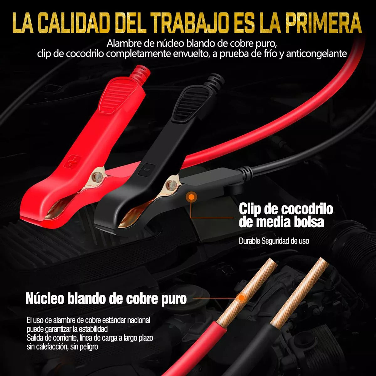 Cargador inteligente para baterias 12V