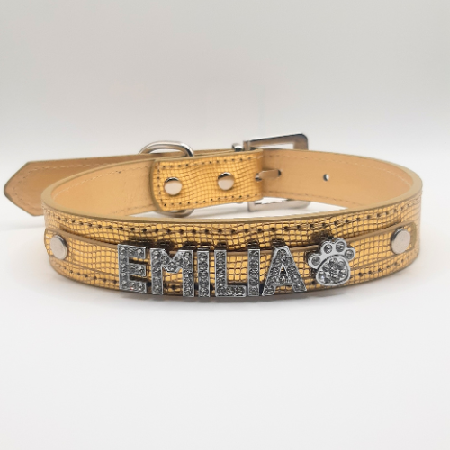 Collar con nombre personalizado mascota