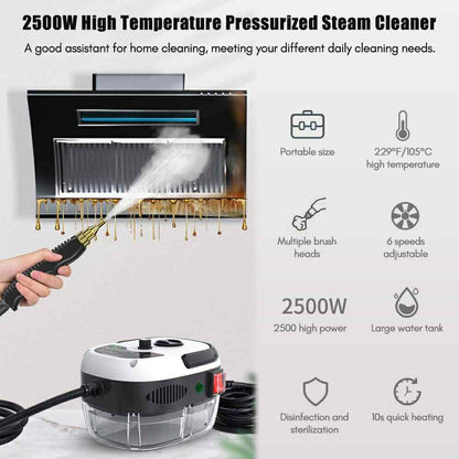 Máquina de Limpieza a Vapor presurizada