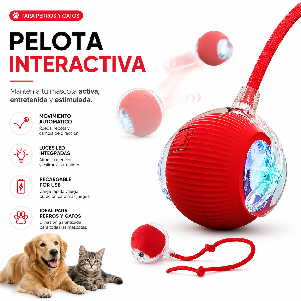 2x1 Pelota Interactiva para Mascota