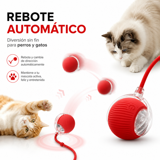 2x1 Pelota Interactiva para Mascota