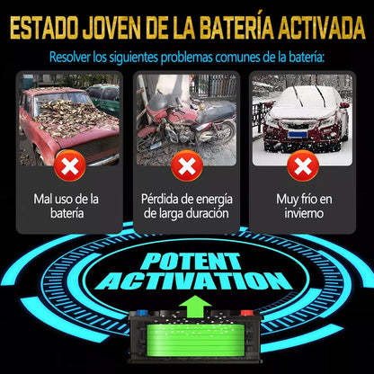 Cargador inteligente para baterias 12V
