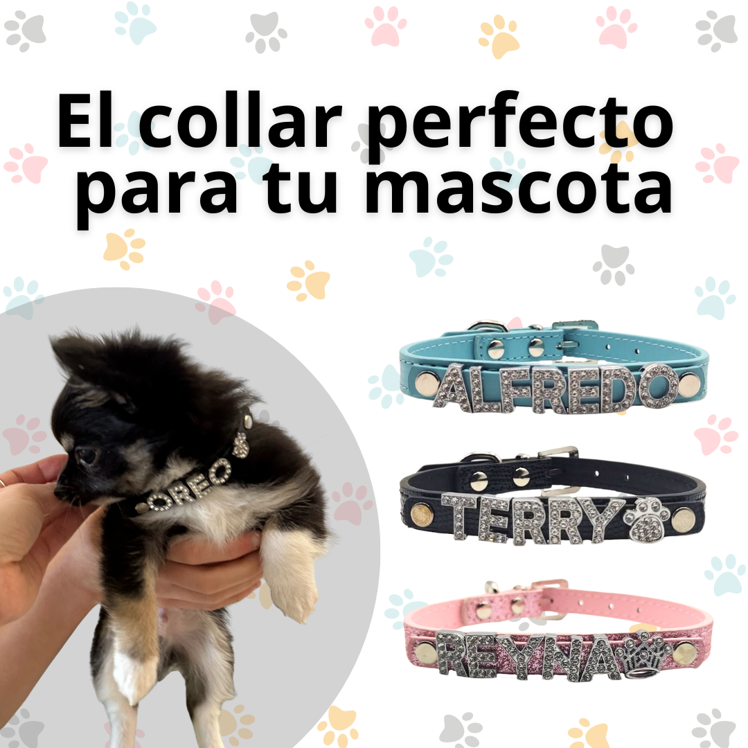Collar con nombre personalizado mascota